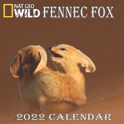 Book cover for Fennec Fox Calendar 2022