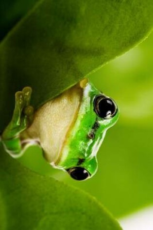 Cover of Green Tree Frog Peaking Out Between Leaves