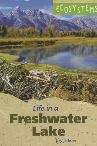 Cover of Life in a Freshwater Lake