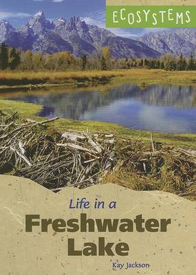 Book cover for Life in a Freshwater Lake