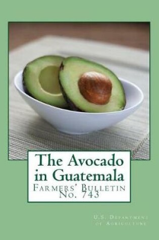 Cover of The Avocado in Guatemala