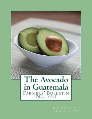 Book cover for The Avocado in Guatemala