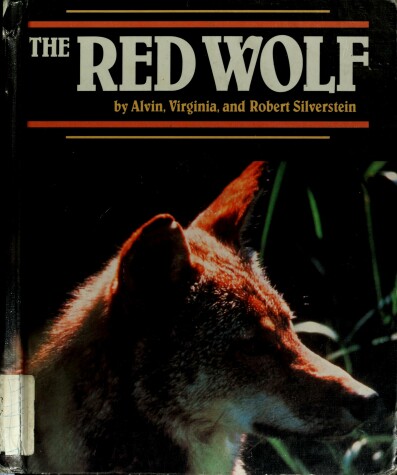 Book cover for The Red Wolf