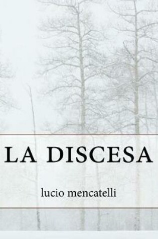 Cover of la discesa