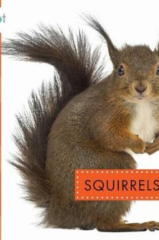 Cover of Squirrels