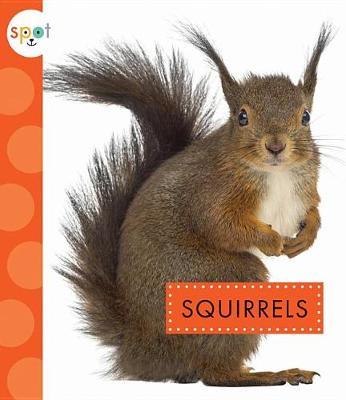 Cover of Squirrels