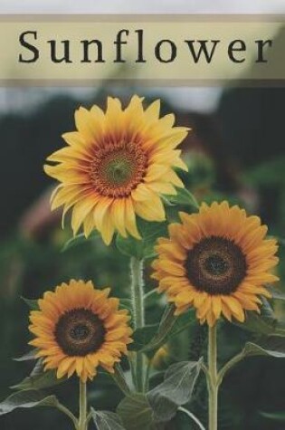 Cover of Sunflower