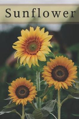 Book cover for Sunflower