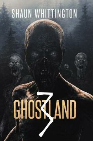 Cover of Ghostland 3