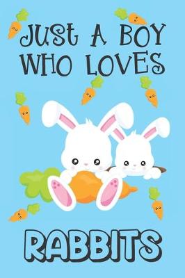 Book cover for Just A Boy Who Loves Rabbits