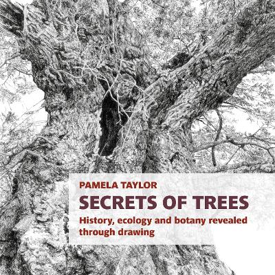 Cover of Secrets of Trees