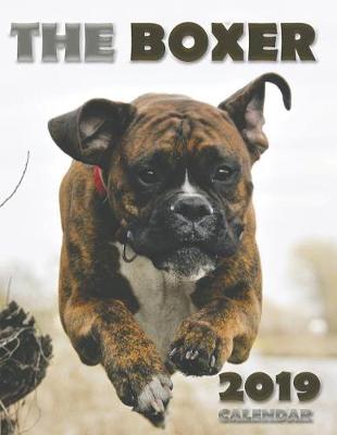 Book cover for The Boxer 2019 Calendar