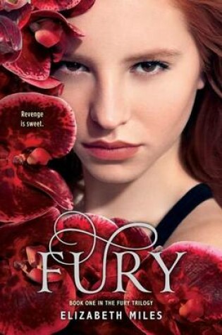 Cover of Fury