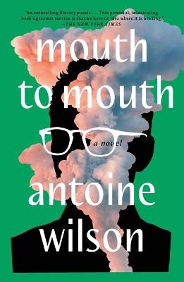 Book cover for Mouth to Mouth