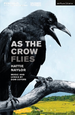 Book cover for As the Crow Flies