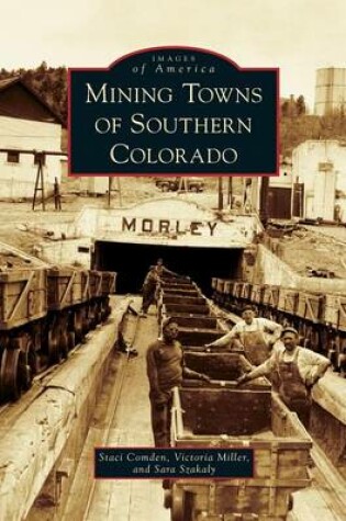 Cover of Mining Towns of Southern Colorado