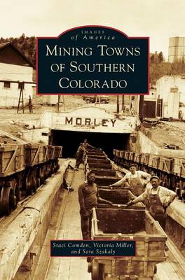 Book cover for Mining Towns of Southern Colorado