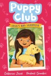Book cover for Lulu's Big Surprise