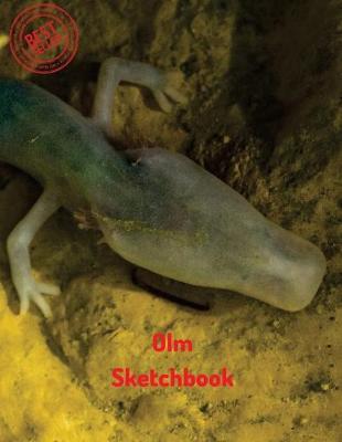 Cover of Olm Sketchbook