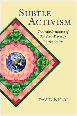 Cover of Subtle Activism