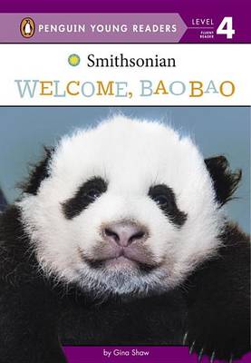 Book cover for Welcome, Bao Bao