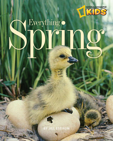 Cover of Everything Spring