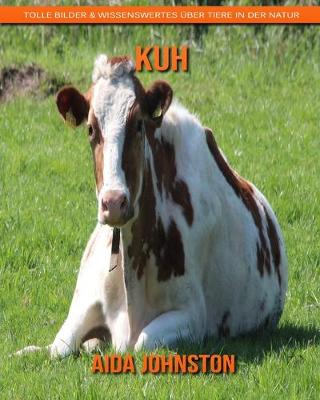 Book cover for Kuh