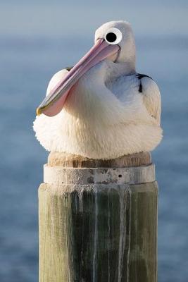 Book cover for Googly Eye Pelican Journal