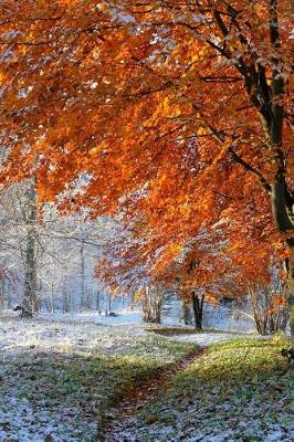 Book cover for Dusting of Snow in Autumn Journal