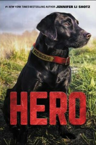 Cover of Hero