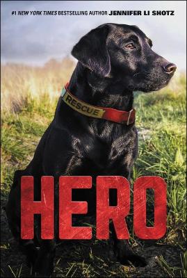 Cover of Hero