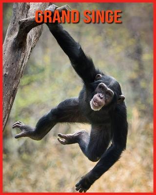 Book cover for Grand Singe