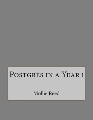 Book cover for Postgres in a Year !