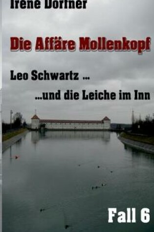 Cover of Die Affäre Mollenkopf