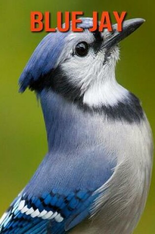 Cover of Blue Jay