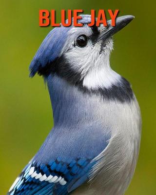 Book cover for Blue Jay