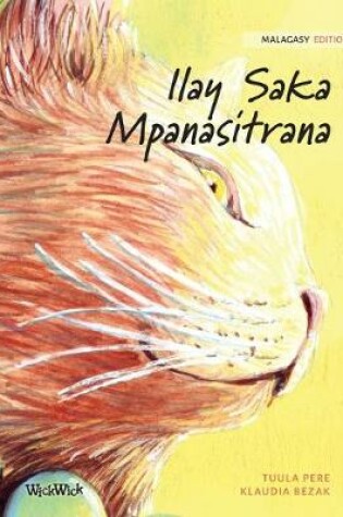 Cover of Ilay Saka Mpanasitrana