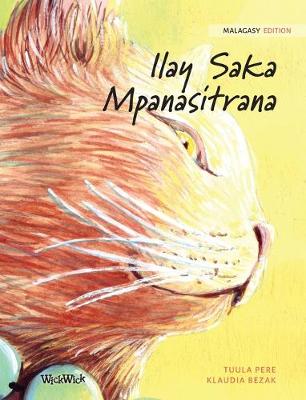 Book cover for Ilay Saka Mpanasitrana