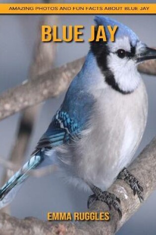 Cover of Blue Jay