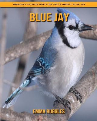 Book cover for Blue Jay