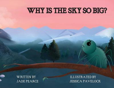 Cover of Why Is the Sky So Big?