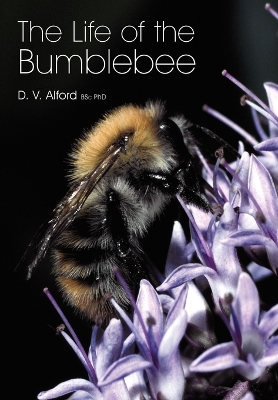 Book cover for The Life of the bumblebee