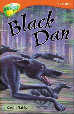 Book cover for Oxford Reading Tree: Level 13: Treetops More Stories A: Black Dan