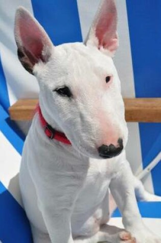 Cover of White Bull Terrier Portrait Journal