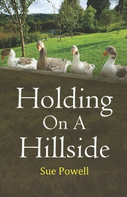 Book cover for Holding on a Hillside