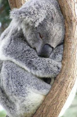 Book cover for Super Cute Koala Napping in a Tree Journal