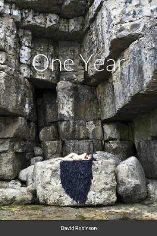 Cover of One Year