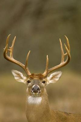 Book cover for Whitetail Buck Portrait Journal