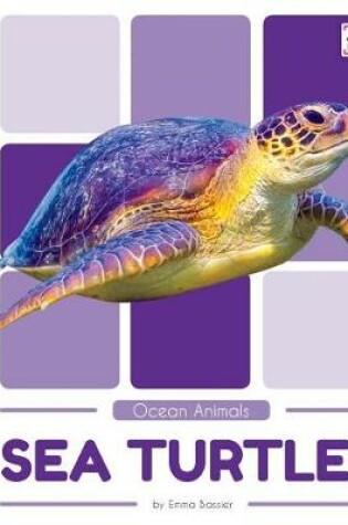 Cover of Sea Turtles