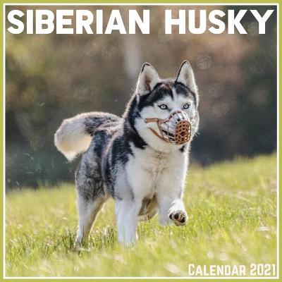 Book cover for Siberian Husky Calendar 2021